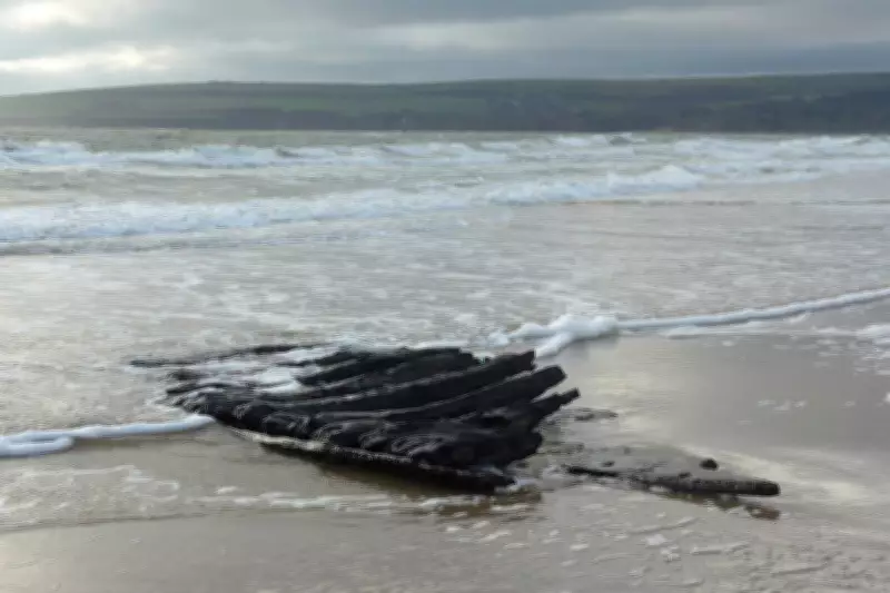 17th-Century Shipwreck Timbers Wash Ashore on Dorset Beach After Storm