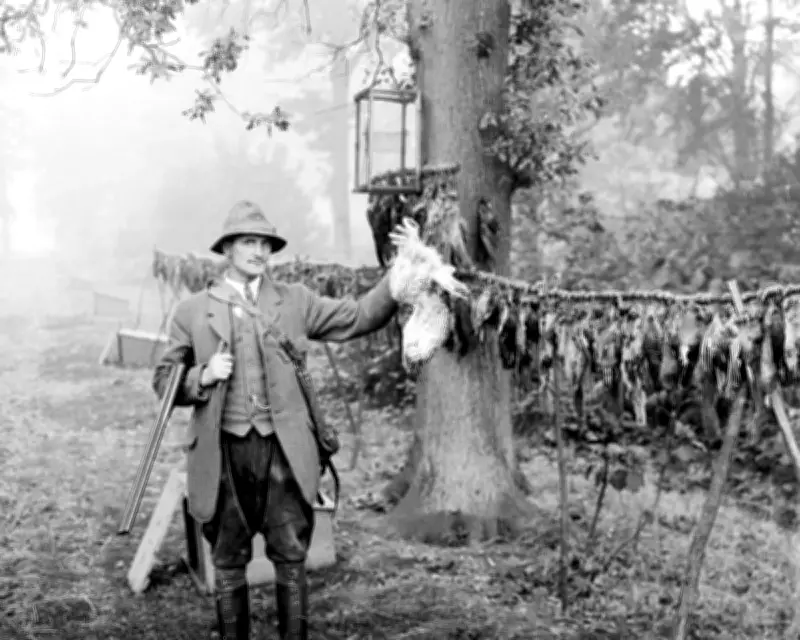 1926 Gamekeeper Debate: Are Weasels and Stoats Allies or Foes?