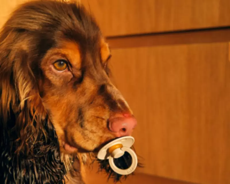 24 Photography Exhibition 2026 Showcases Stunning Visual Narratives