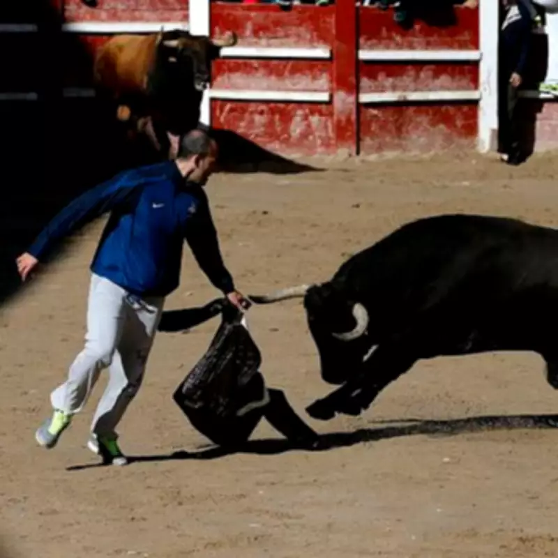 71-Year-Old Man Dies After Bull Goring at Spanish Bullfighting Festival