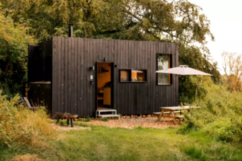 A 48-Hour Digital Detox in a Cabin: My Experience Without a Smartphone