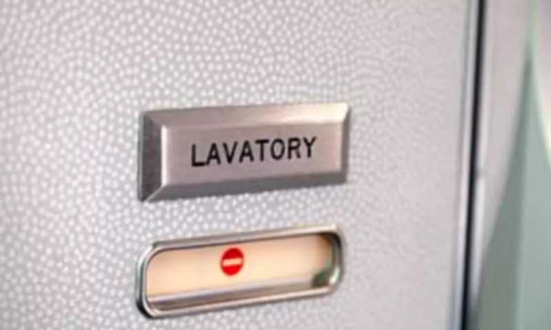Aer Lingus Passenger in Tears After Toilet Access Denied, Sacked Crew Files Claim