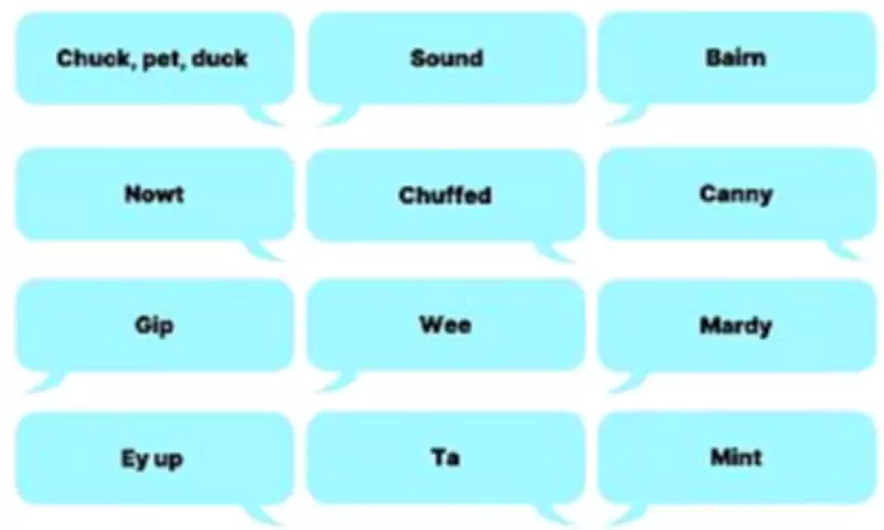AI Learns UK Slang to Better Serve Council Callers Across Regions