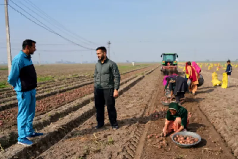 AI Transforms Indian Agriculture and Education, Boosting Efficiency