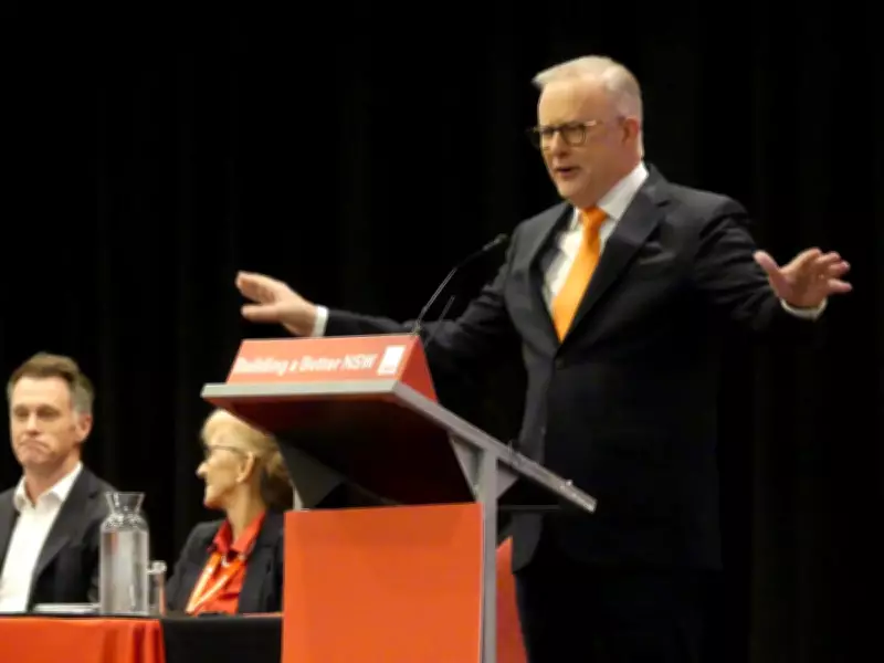 Albanese Mocks New Liberal Leader Taylor with Keating-Inspired 'Soufflé' Jibe