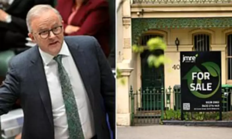 Albanese Signals Labor May Cut Capital Gains Tax Break for Property Investors