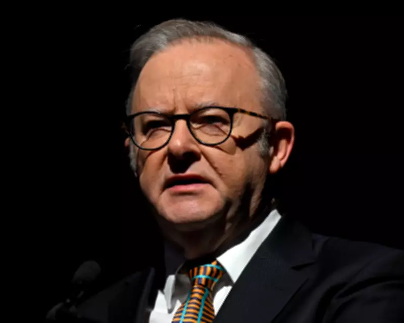 Albanese's Syrian Camp Visit Highlights Plight of Australian Citizens