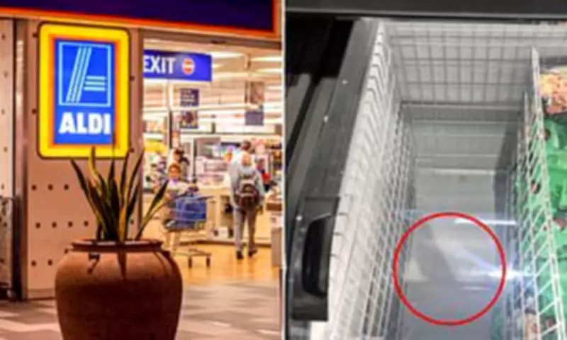 Aldi Australia's Greek Spanakopita Sells Out, Leaving Shoppers Devastated