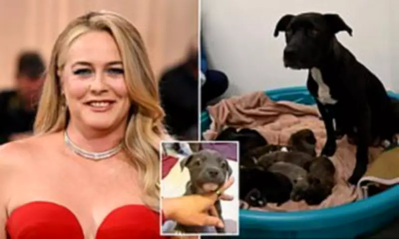 Alicia Silverstone Saves Dog and Puppies from Euthanasia in Heartwarming Rescue
