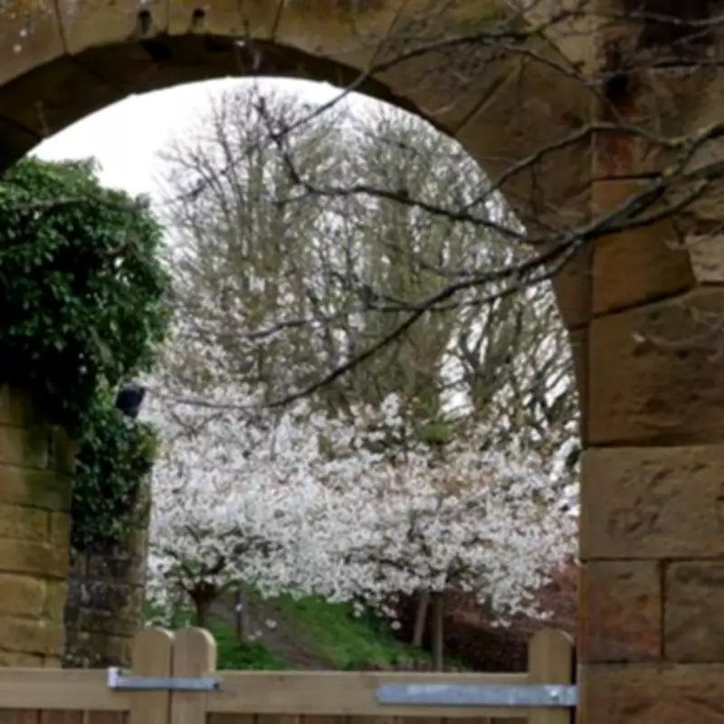 Alnwick Garden: Northumberland's Enchanting Attraction with Poison Plants & Treetop Adventures