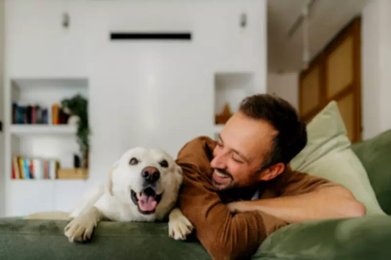Americans Place Unrealistic Emotional Burdens on Dogs Amid Social Decline