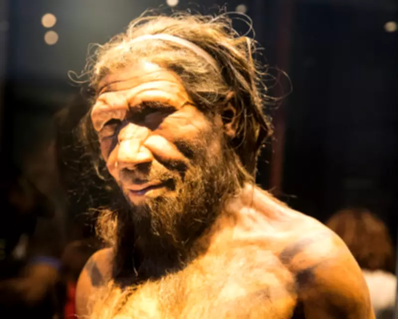 Ancient DNA Reveals Neanderthal-Human Mating Bias: Males and Females