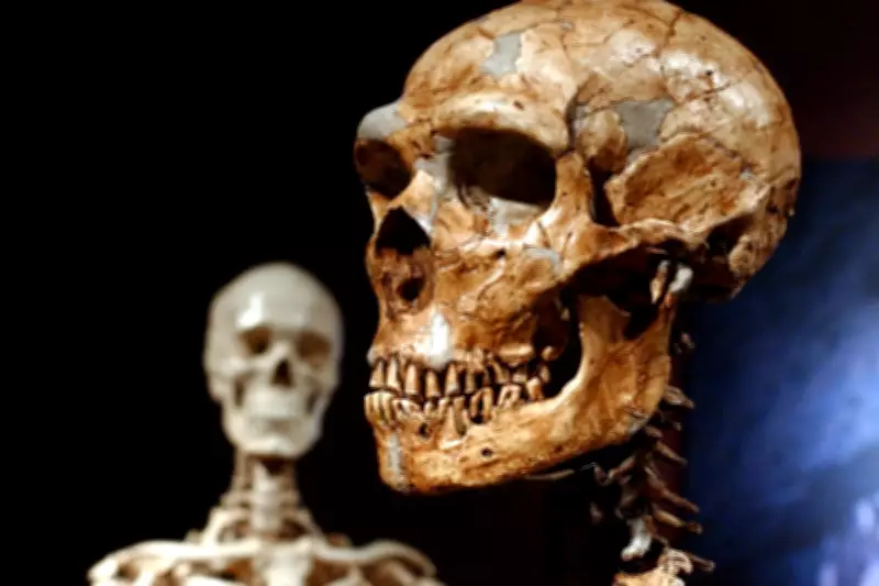 Ancient DNA Reveals Surprising Neanderthal-Human Mating Patterns