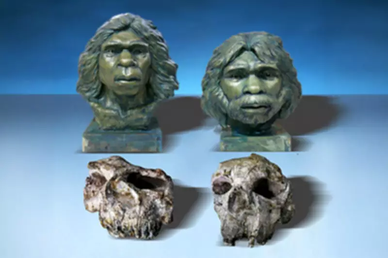 Ancient Humans Reached East Asia 600,000 Years Earlier Than Previously Believed