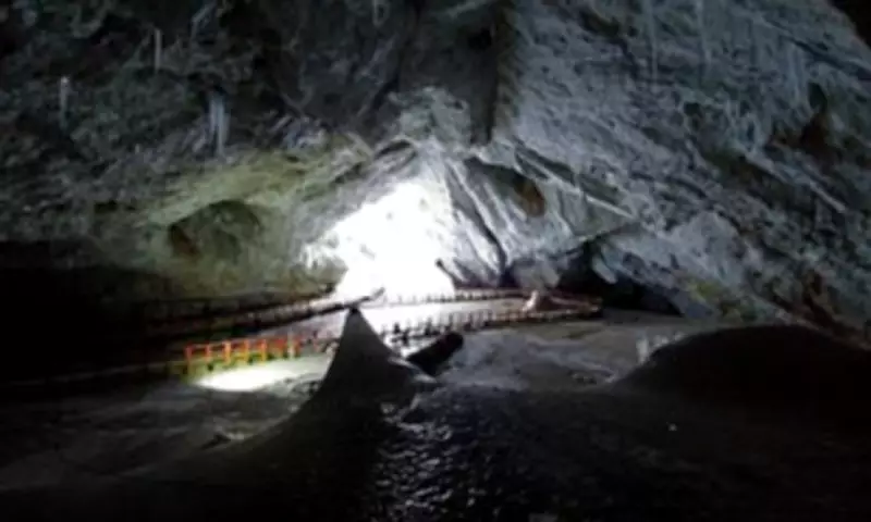 Ancient Ice Cave Bacteria Resistant to All Modern Antibiotics, Scientists Warn