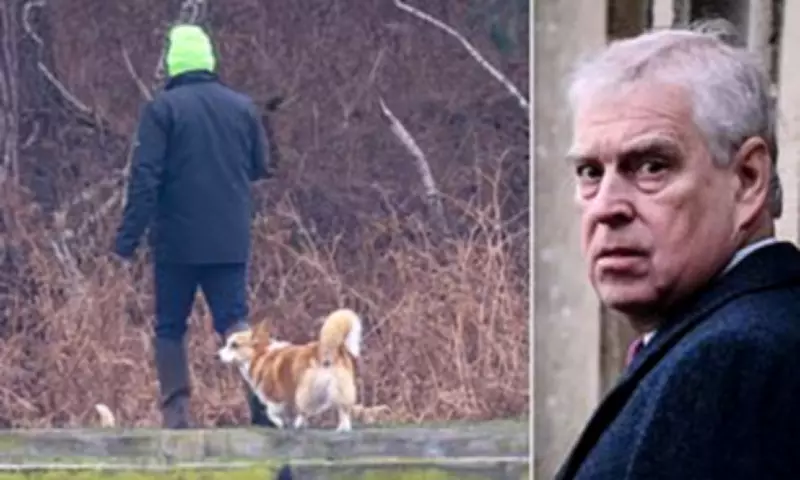 Andrew Mountbatten-Windsor Still Cares for Queen's Corgis After Royal Eviction