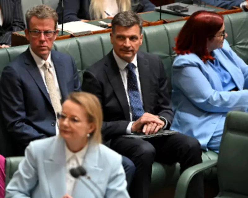 Angus Taylor and Sussan Ley Vie for Liberal Party Leadership Position