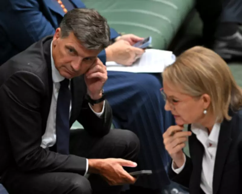 Angus Taylor Poised to Challenge Sussan Ley for Liberal Leadership Amid Polling Crisis