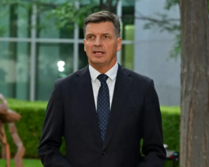 Angus Taylor's Resignation Sparks Leadership Crisis for Sussan Ley