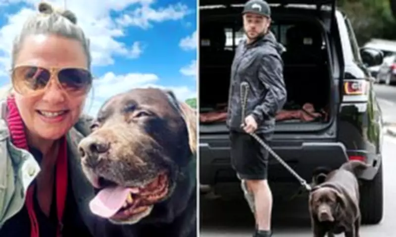 Ant McPartlin's Ex-Wife Lisa Armstrong Posts Tribute Poem for Late Dog Hurley