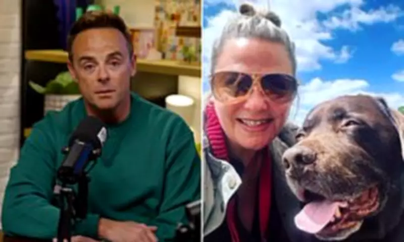 Ant McPartlin's Heartfelt Tribute to Late Dog Hurley on Podcast
