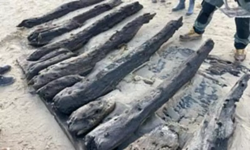 Archaeologists Race Against Tides to Rescue 17th-Century Shipwreck from Dorset Nudist Beach