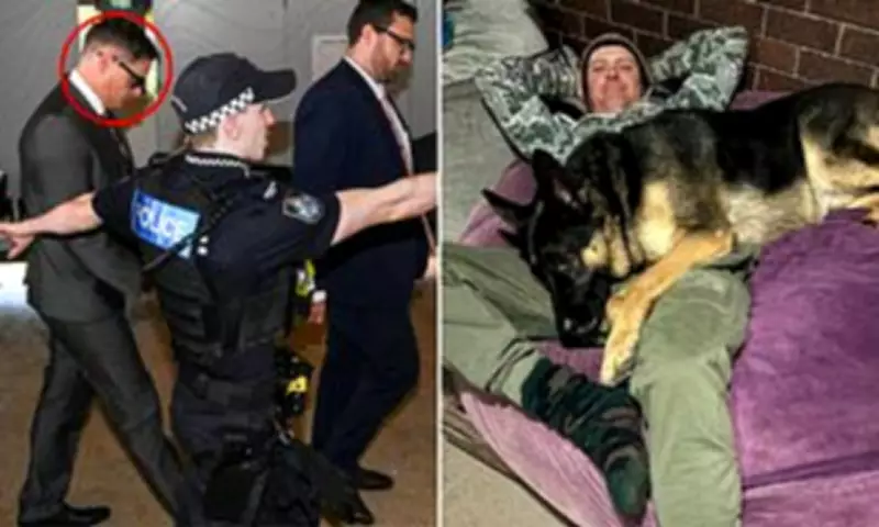 Arnie the German Shepherd Owner Faces Court Over Dog's Death Charges