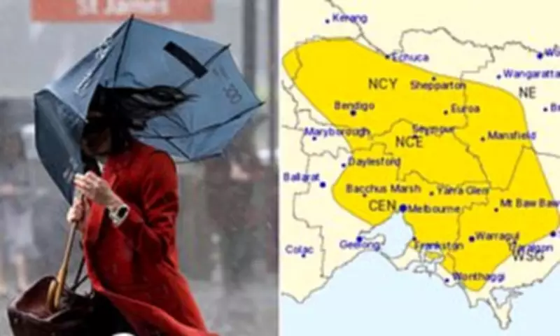 Australia Braces for Severe Weather: Heavy Rain and Flood Warnings Issued