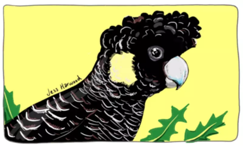 Australian Wildlife Faces Extinction Crisis After Scorching Summer