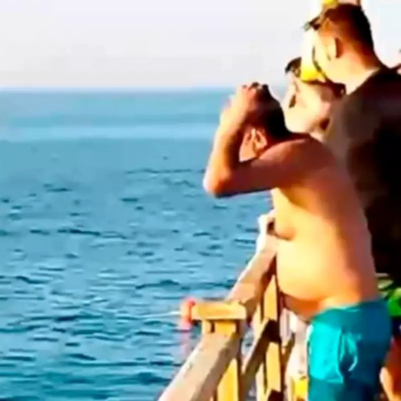 Austrian Tourist's Final Words Before Fatal Shark Attack in Egypt Revealed