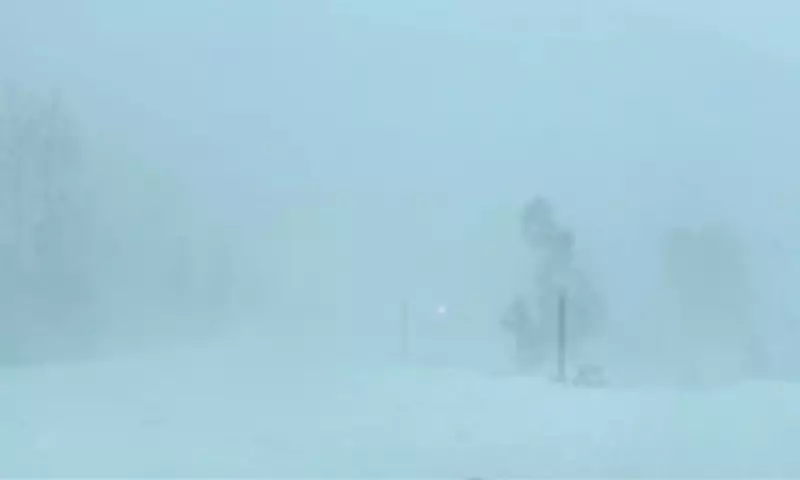 Avalanche Near Lake Tahoe Leaves Ten Backcountry Skiers Missing