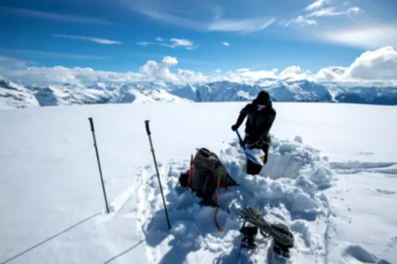 Avalanche Survival Guide: Expert Explains Rising Risks and Rescue Techniques