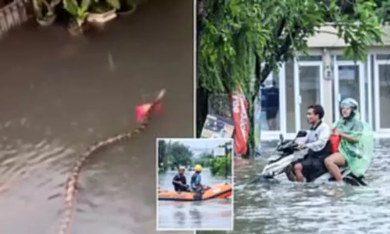 Bali's Tourist Hubs Submerged by Monsoon Floods and Snake Sightings