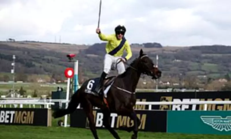 Barry Connell's Marine Nationale Aims for Cheltenham Glory Again