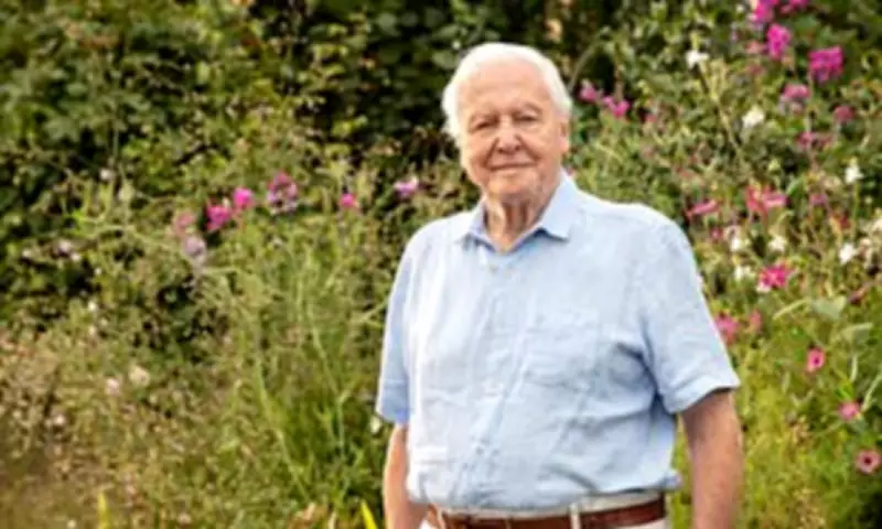 BBC to Honour Sir David Attenborough's 100th Birthday with Special Programming
