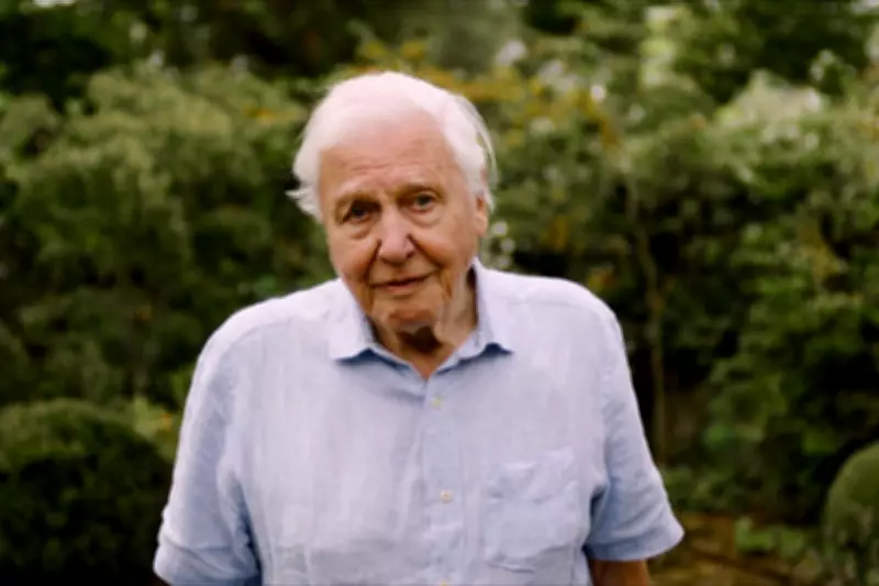 BBC Unveils Grand Week of Programming for Sir David Attenborough's 100th Birthday
