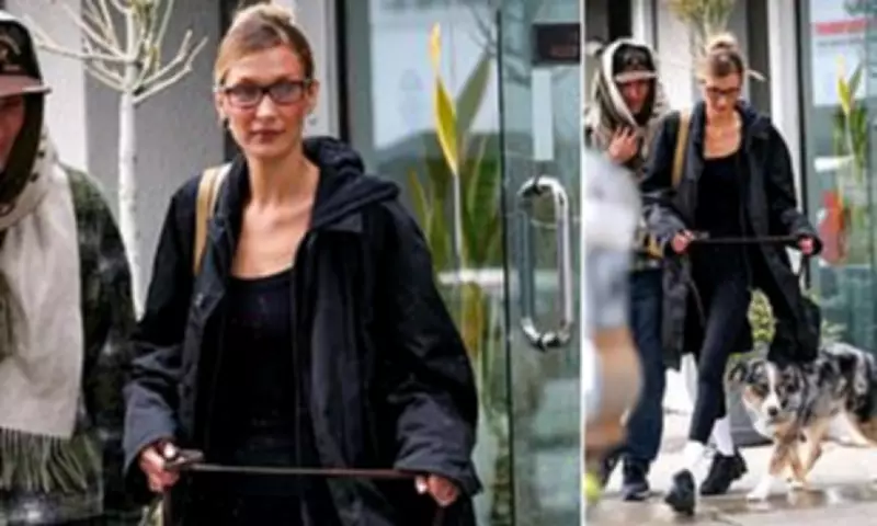Bella Hadid Spotted Leaving Beverly Hills Cannabis Dispensary with Agent and Dog