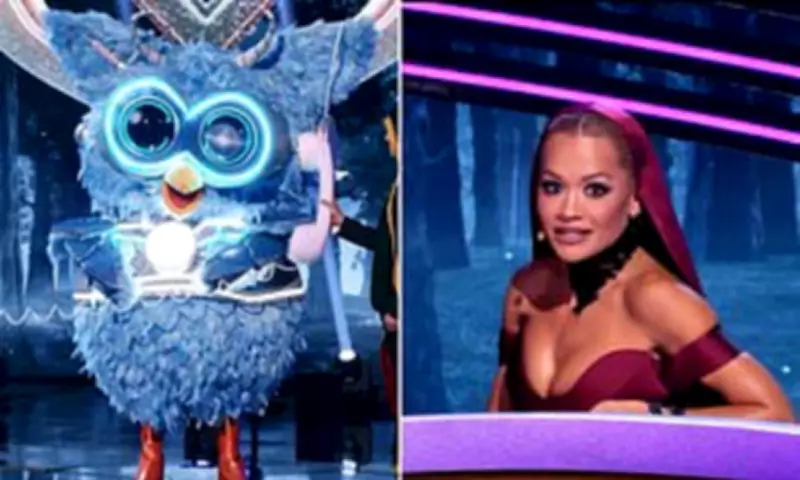 Billy Ray Cyrus Unmasked as Owl on The Masked Singer's Twilight Night