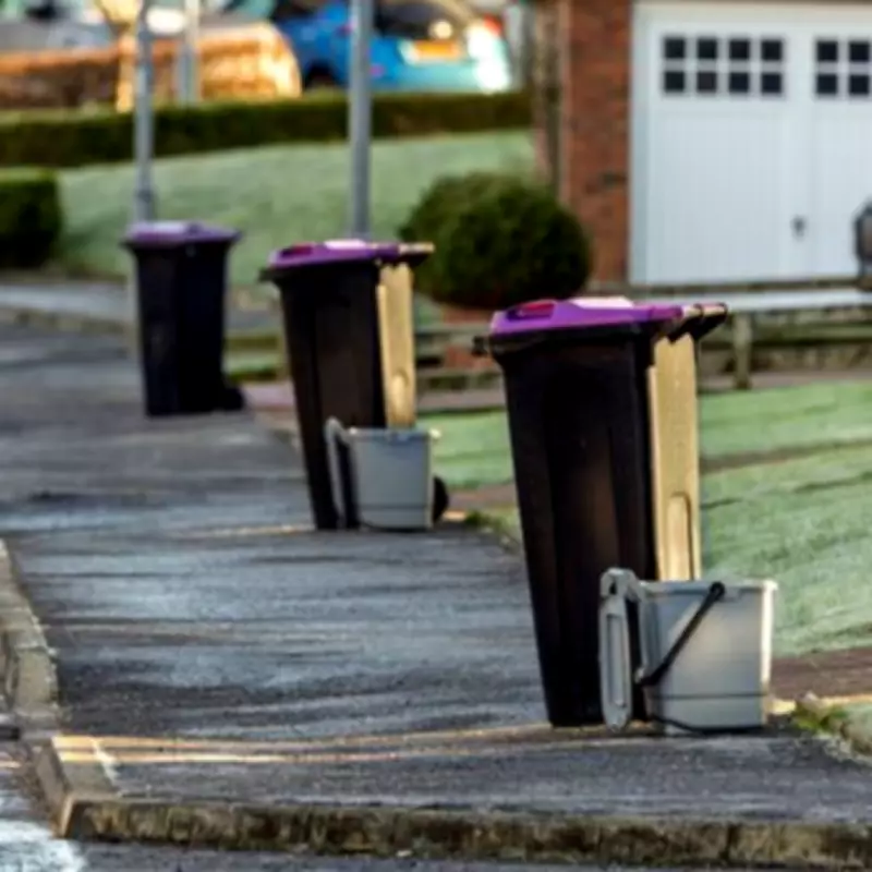 Binmen Warn: Cat Litter in Food Waste Bins Leads to Refused Collections