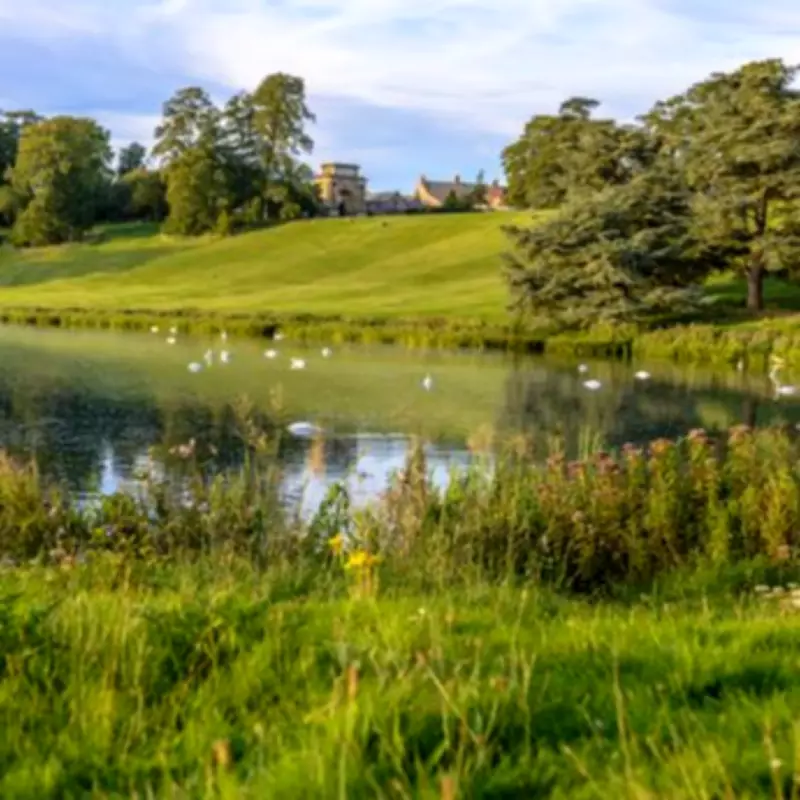 Blenheim Palace's Snowdrop Walk Evokes Jane Austen's World in February