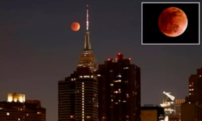 Blood Moon Eclipse on March 3 Sparks Biblical Prophecy Speculation Online