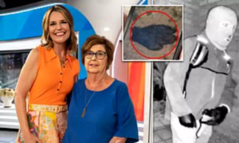 Bloody Glove Discovery in Nancy Guthrie Case Raises New Questions