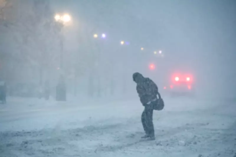 Bomb Cyclone Paralyzes US Northeast: Power Outages, Flight Cancellations, and School Closures