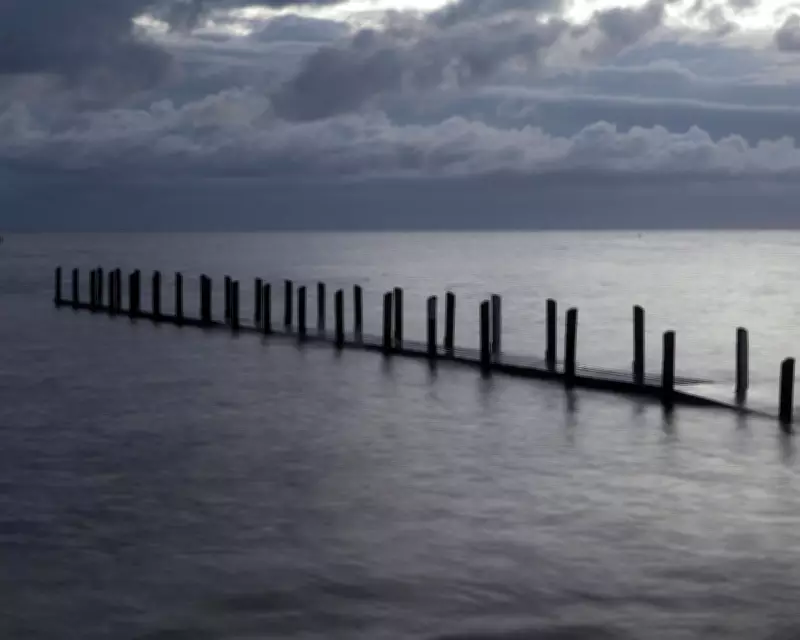 Boy's Four-Hour Swim Saves Family in Western Australia