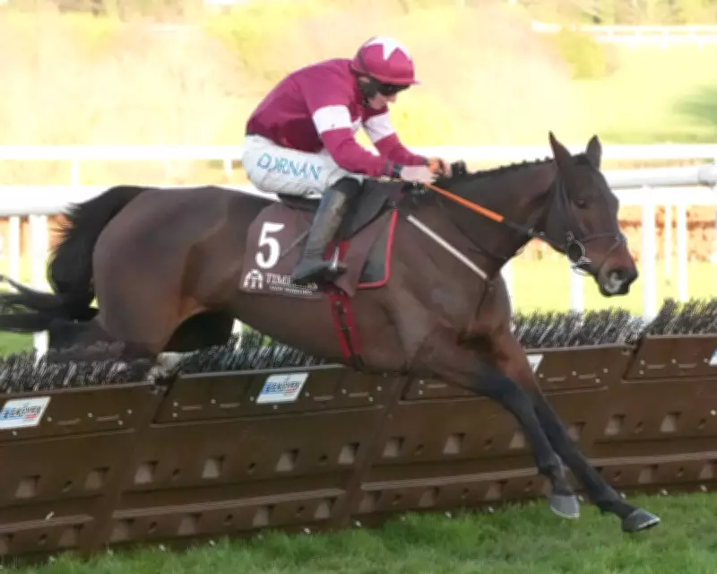 Brighterdaysahead Triumphs in Irish Champion Hurdle, Upsetting Favourite Lossiemouth