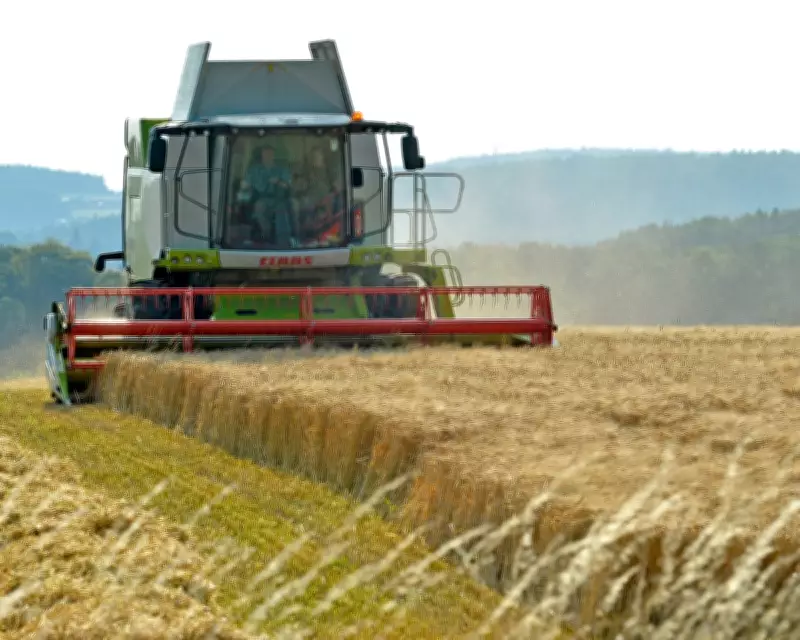 British Farmers Face Financial Losses Under New Environmental Scheme Plans