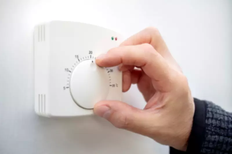 British Gas Profits Halve Amid Customer Shift to Discounted Energy Deals