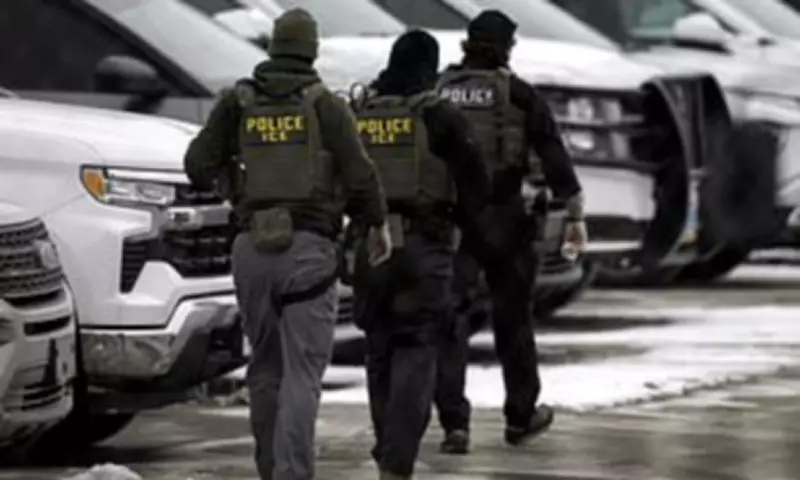 British Grandmother Detained by ICE Warns Against US Travel Under Trump