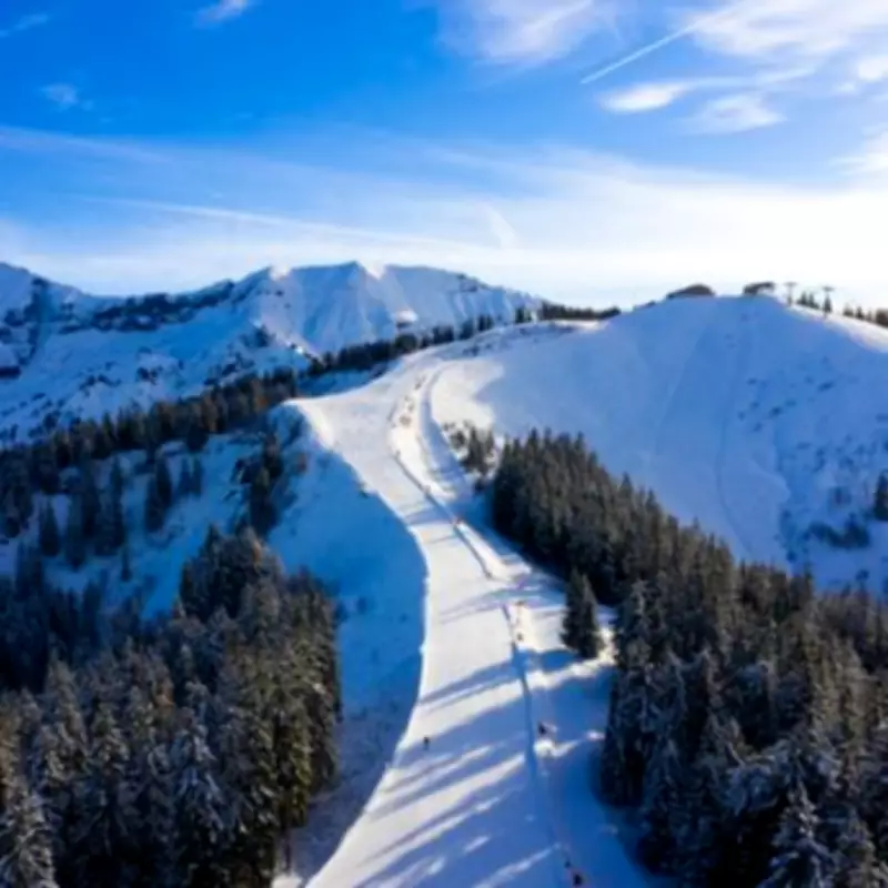 British Skier Dies in French Alps Avalanche, Death Toll Rises to 28