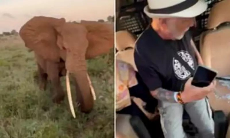 British Tourists' Safari Horror as Elephant Charges Truck in Tanzania